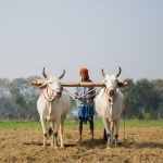 L’image actuelle n’a pas de texte alternatif. Le nom du fichier est : Bihar-madhubani-bihar-india-december-23-2018-1987766447.jpg